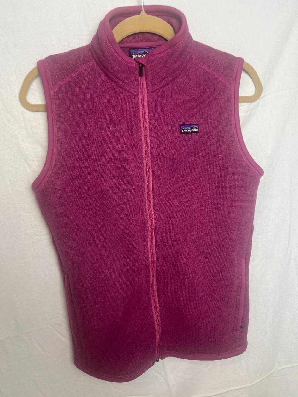 Patagonia Better Sweater Fleece Vest